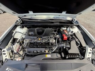 thumb_4766_IMG_2976.jpg