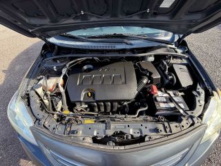 thumb_4796_IMG_3114.jpg