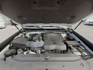 thumb_4876_IMG_4288.jpg